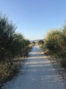 armungia-sentiero-italia